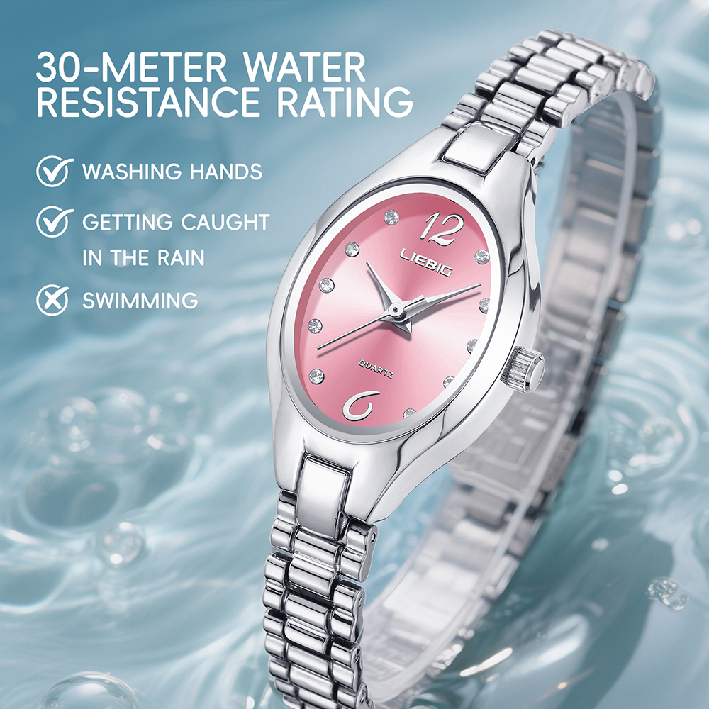 LIEBIG New Stainless Steel Str - Luxury Watch List 评论和价格