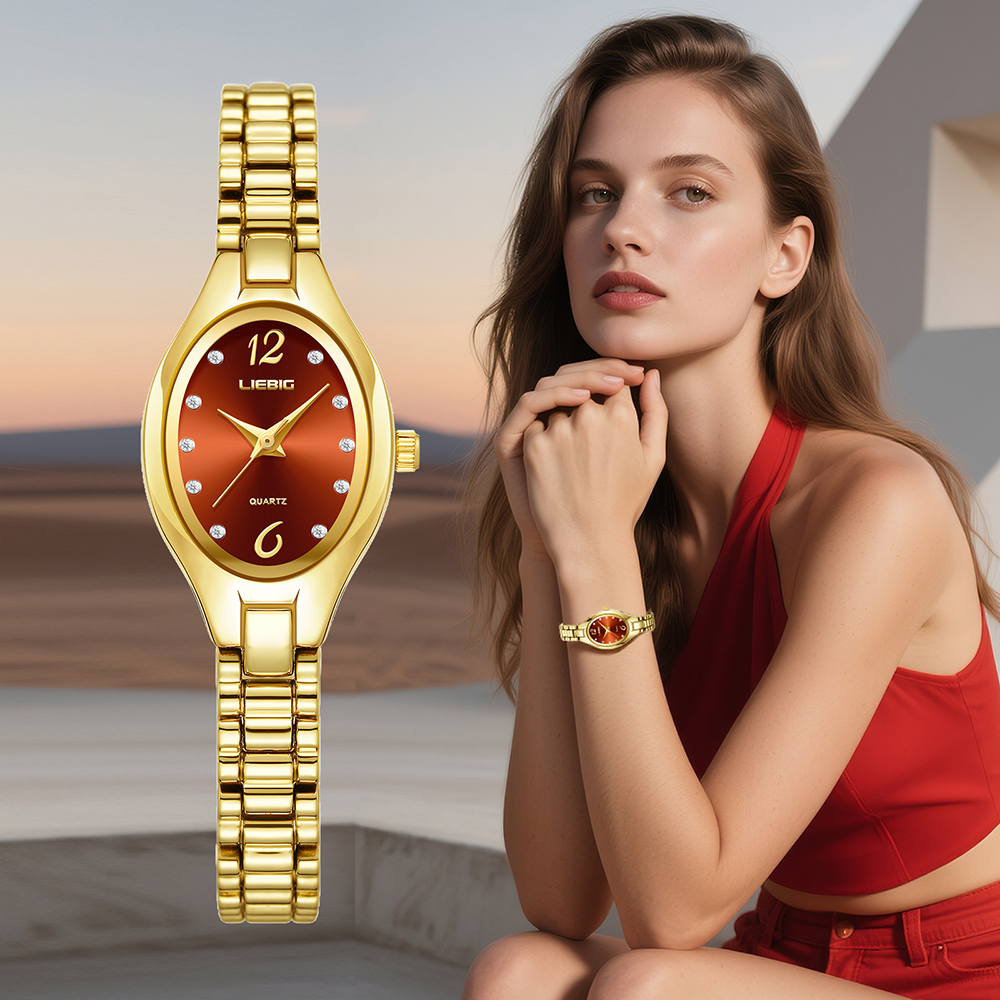 LIEBIG New Stainless Steel Str - Luxury Watch List 评论和价格