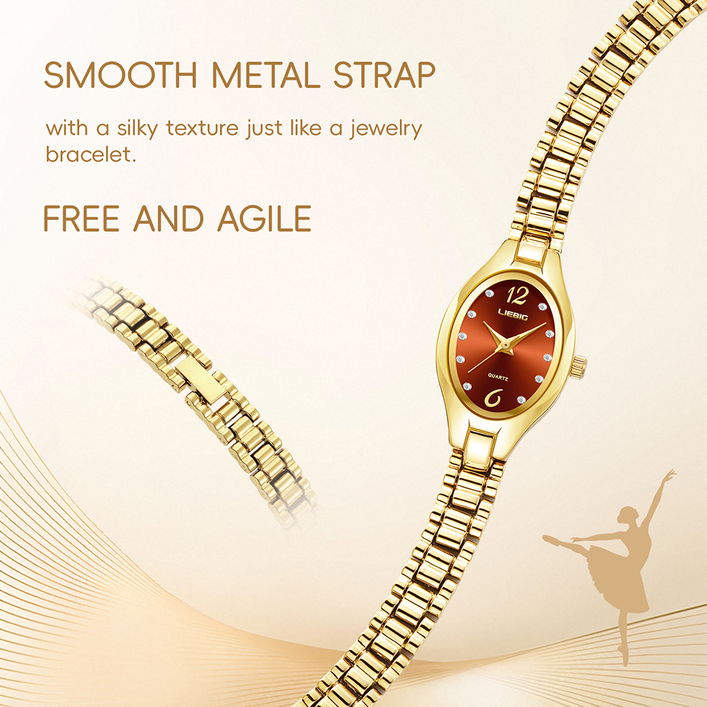 LIEBIG New Stainless Steel Str - Luxury Watch List 评论和价格