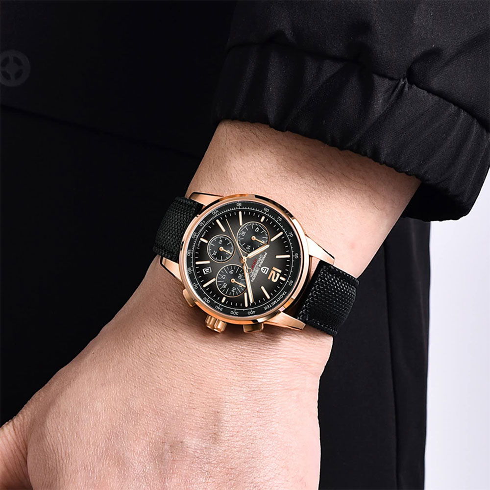 PAGANI DESIGN New Mens Watch 4 - Luxury Watch Design 评论和价格